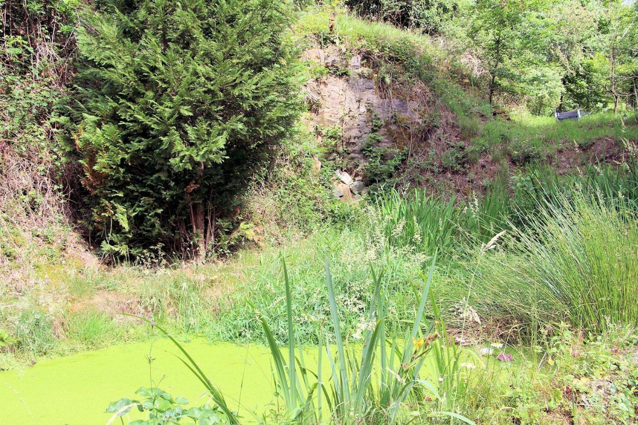 Haus Teufenbach Aparthotel Bad Neuenahr-Ahrweiler Kültér fotó